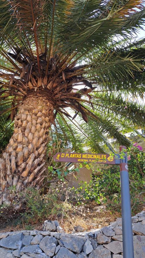 Casa Santana Segura Konuk evi Tejeda  Dış mekan fotoğraf
