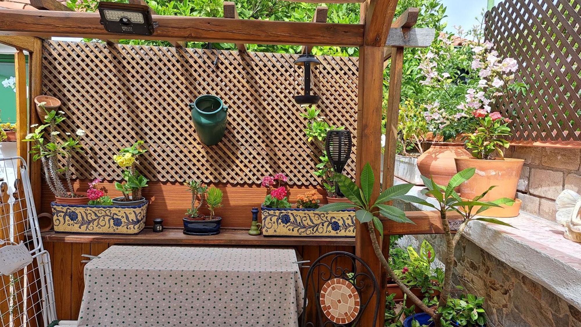 Casa Santana Segura Konuk evi Tejeda  Dış mekan fotoğraf