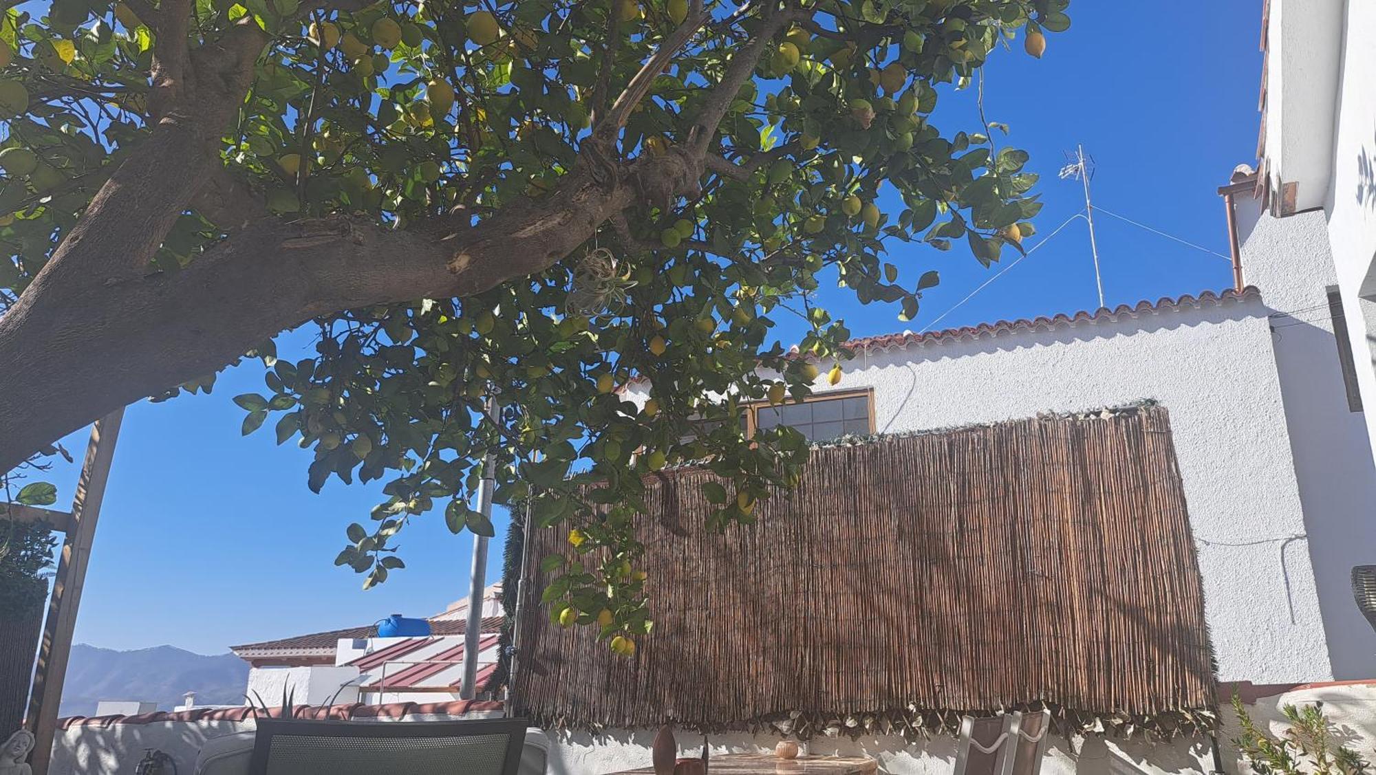 Casa Santana Segura Konuk evi Tejeda  Oda fotoğraf