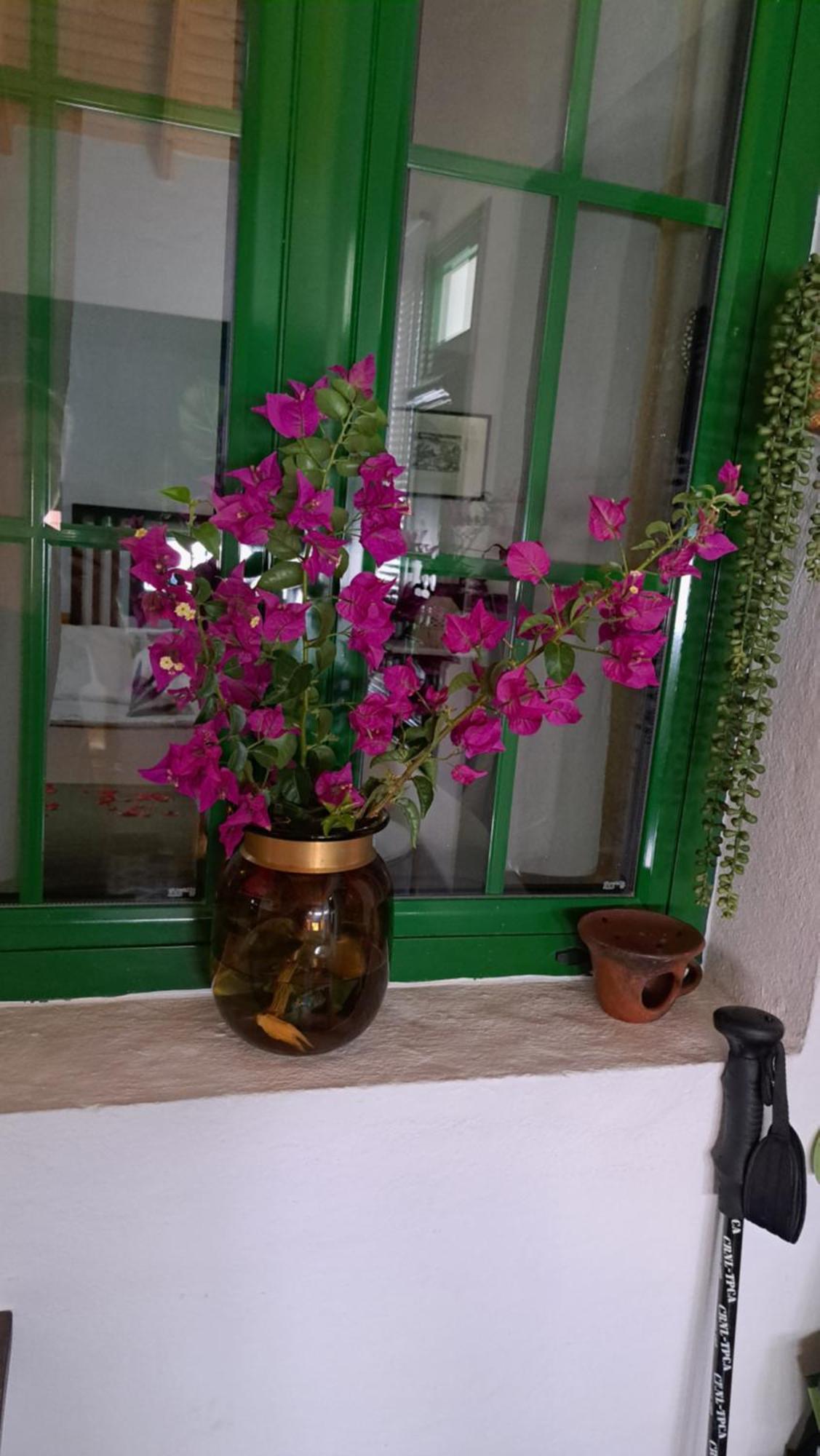 Casa Santana Segura Konuk evi Tejeda  Oda fotoğraf