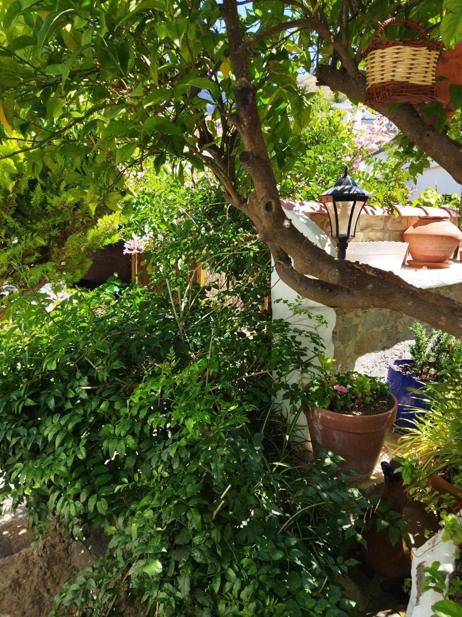 Casa Santana Segura Konuk evi Tejeda  Oda fotoğraf