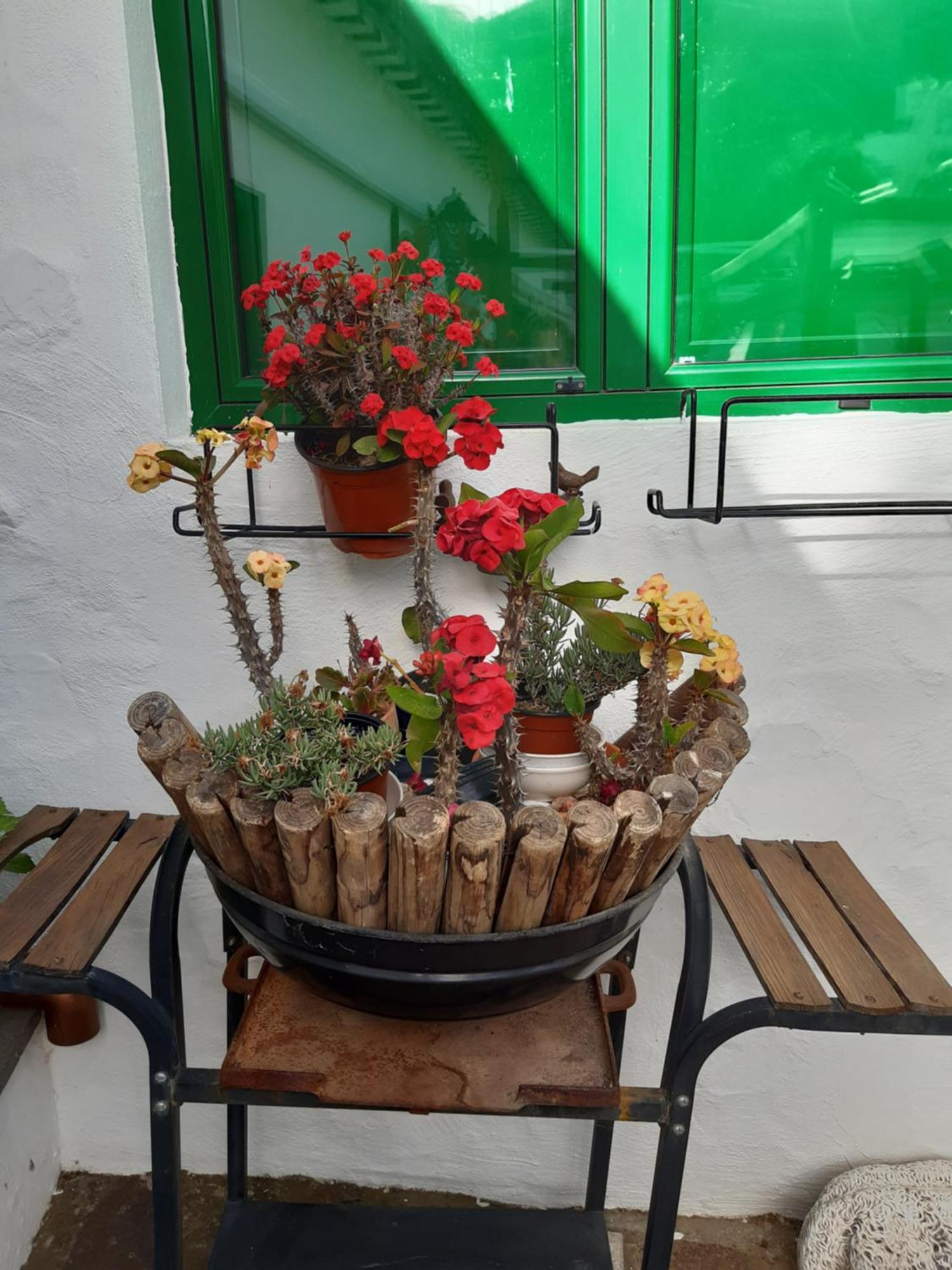 Casa Santana Segura Konuk evi Tejeda  Oda fotoğraf