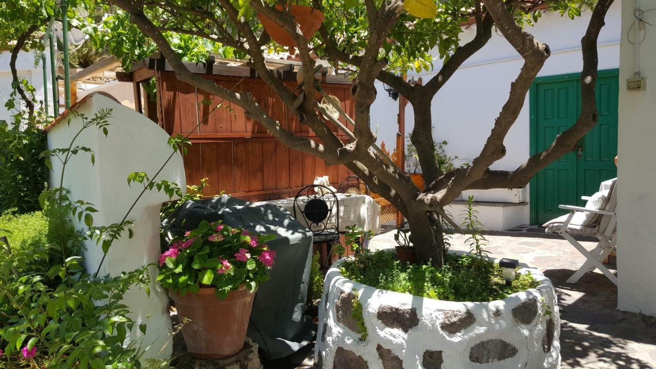 Casa Santana Segura Konuk evi Tejeda  Dış mekan fotoğraf